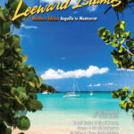 the cruising guide to the southern leeward islands 2025 2026