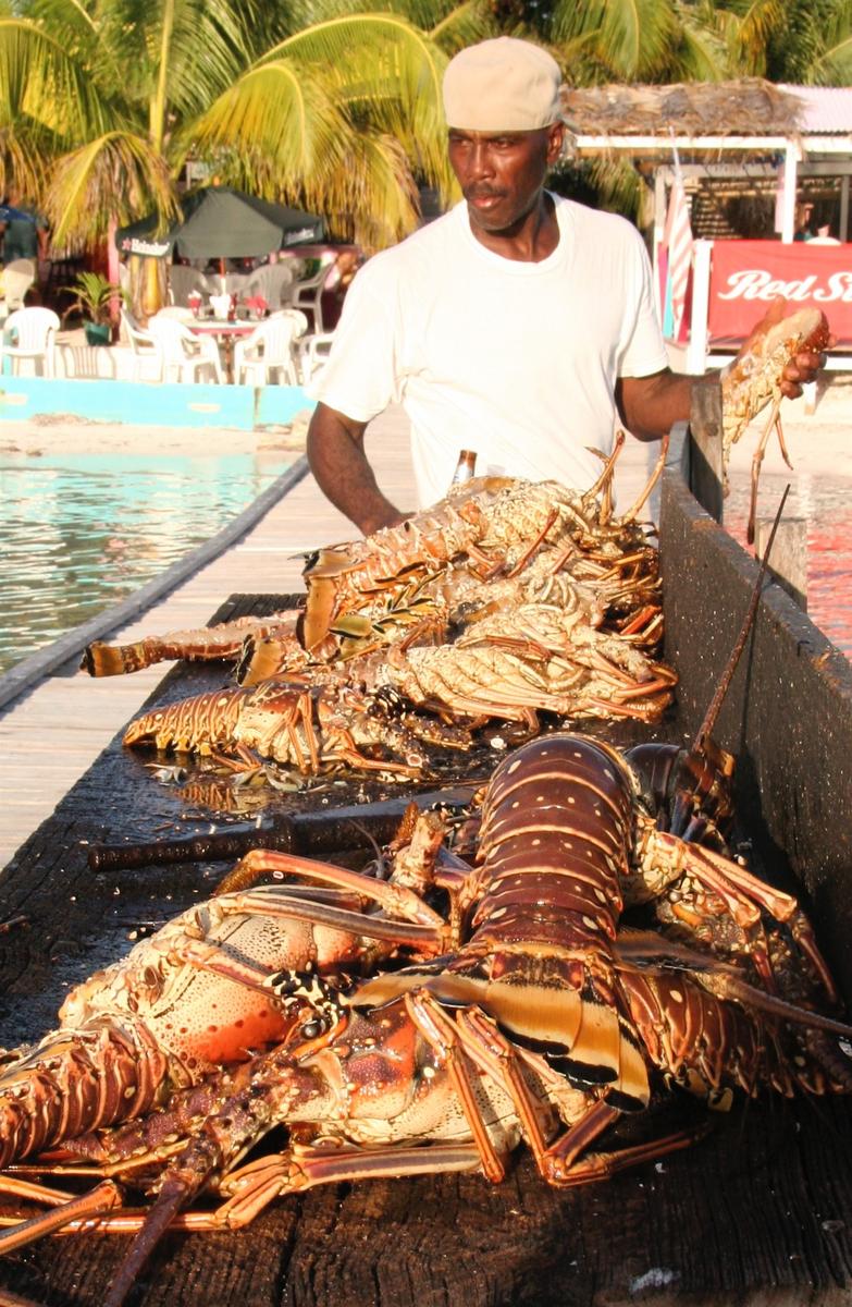 Grilling Lobster
