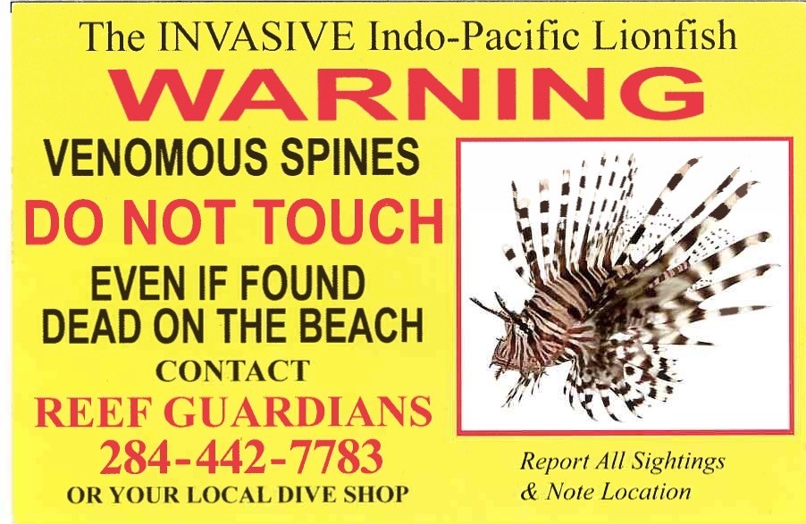 The Invasive Lionfish