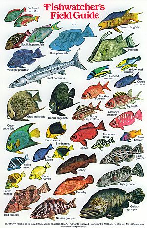 Fishwatchers Field Guide
