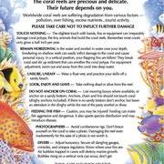 Underwater Do's and Don'ts